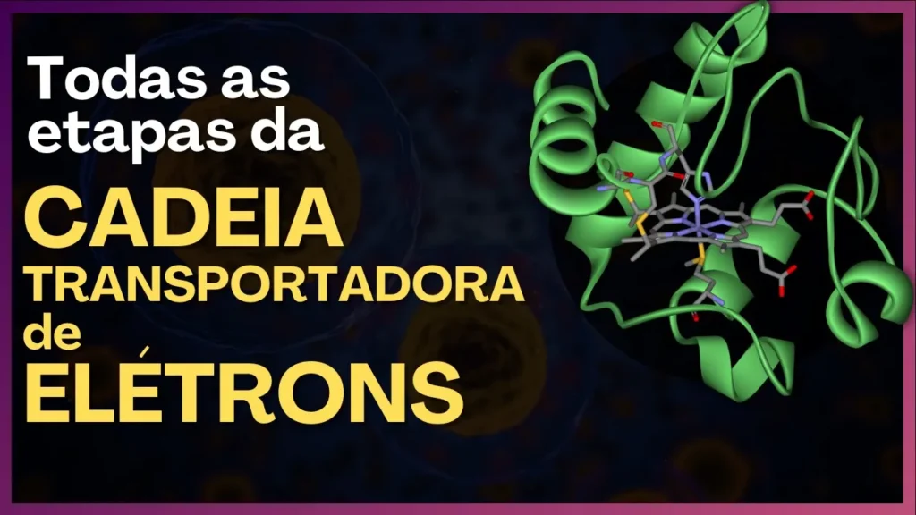 cadeia transportadora de elétrons universidade da quimica